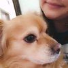 missmichebella